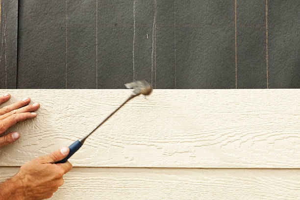 Best Siding for New Construction  in Port Gibson, MS