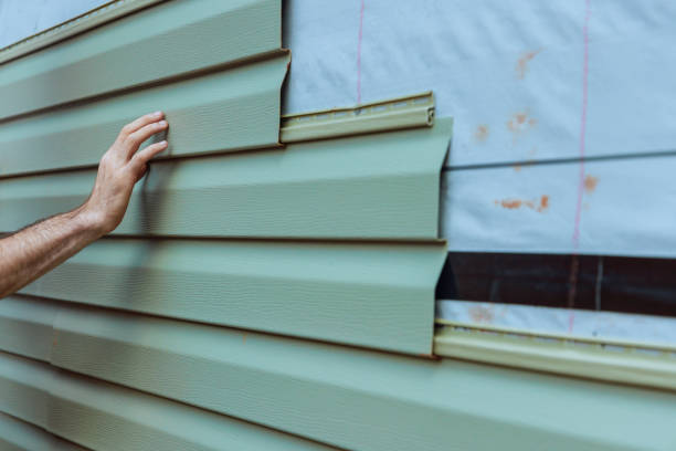 Best Custom Trim and Detailing for Siding  in Port Gibson, MS